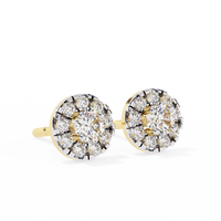 Aurelia Round Brilliant-Cut Diamond Double Halo Stud Earrings ✨