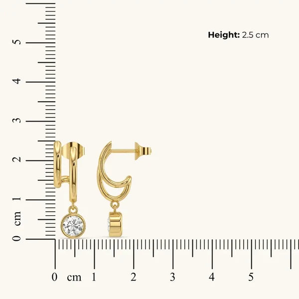 Golden Double Hoop Diamond Drop Earrings