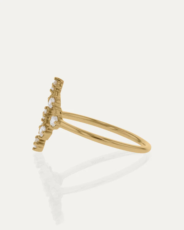 The Trellis Ring